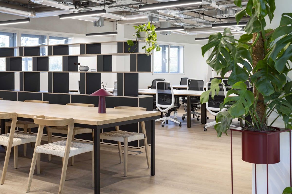 Thoughtful touches, contemporary furnishings and a modern layout create a workspace that feels considered, comfortable and ready to use.