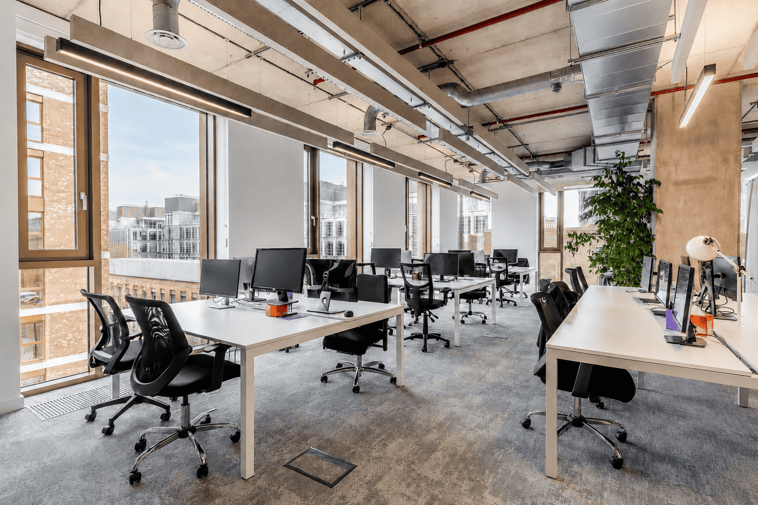 Flex workspaces are flooded with natural light, and layouts can be customised to compliment how your unique team likes to work.