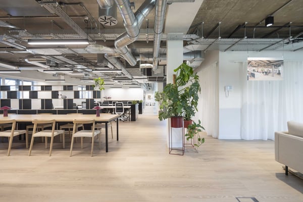 A spacious Enterprise Suite at Primrose Hill Works, with contemporary workstations, collaborative tables, generous planting and an exposed industrial ceiling.