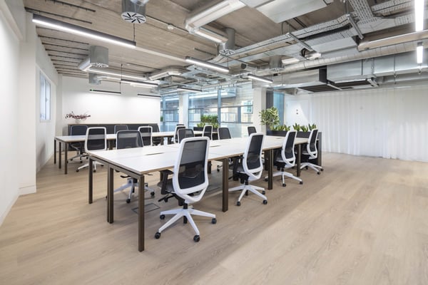 Functional desk space within an Enterprise Suite at Primrose Hill Works, with ergonomic seating, generous workstations and plenty of natural light.