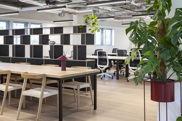 Thoughtful touches, contemporary furnishings and a modern layout create a workspace that feels considered, comfortable and ready to use.